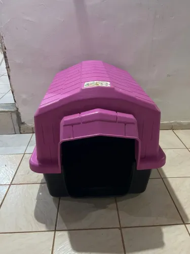 Casinha de cachorro 