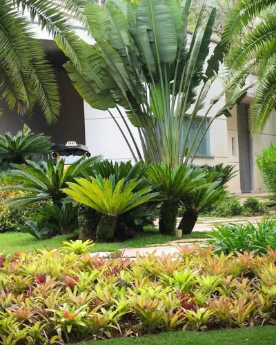 Paisagismo e jardinagem