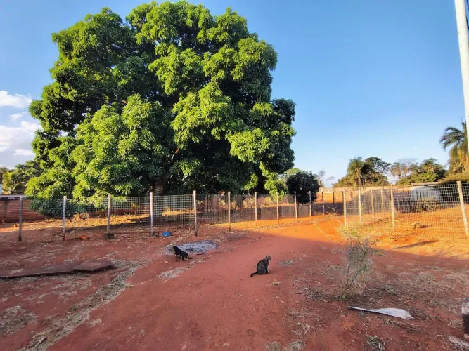 Chácara no Parque Maracanã 3625m² | Goiânia