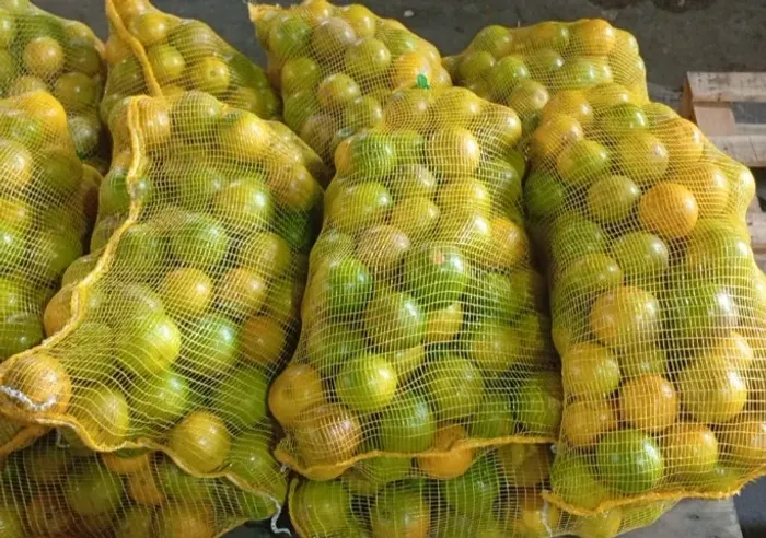 Saco de laranja