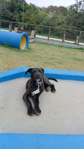 Doação Responsável