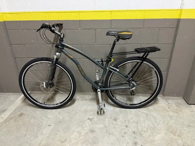Bicicleta Caloi Easy Rider - recém revisada + pneus novos