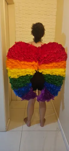 Fantasia: asas arco-íris LGBT