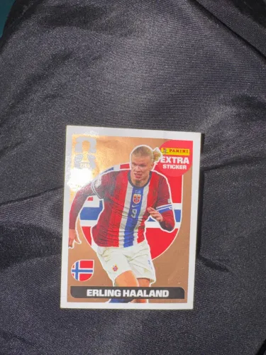 Figurinha Erling Haaland Bronze