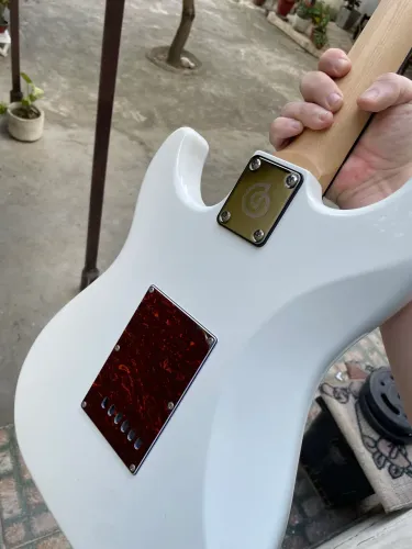 Guitarra Giannini + Amplificadores