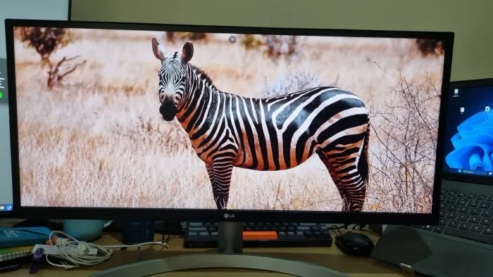 Monitor LG UltraWide 29 polegadas mocelo 29wk600