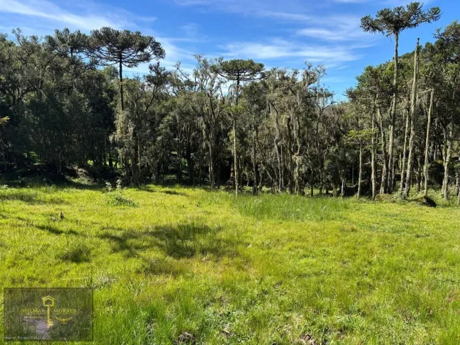 Área para Venda em Urubici, Campestre
