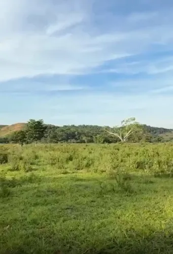 Fazenda com 62 hectares - Naque/MG - As margens da BR-381