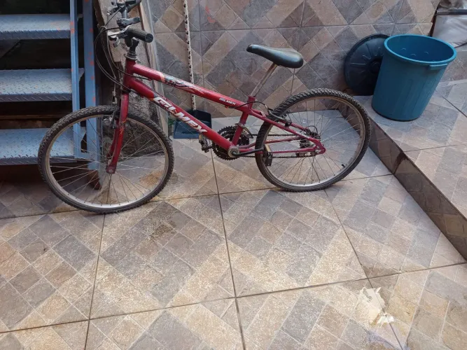 Bicicleta