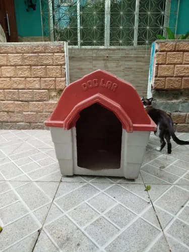 Casinha de cachorro