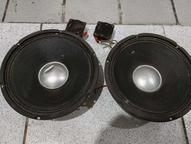 Par de auto falantes 10"