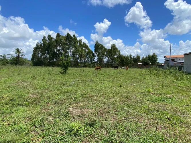 05 tarefas em Itaporanga (povoado Tijupeba)