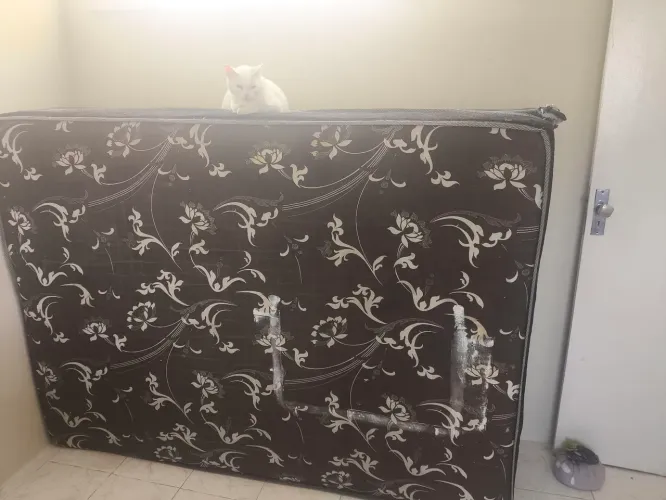 Cama box usada