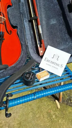 Violino