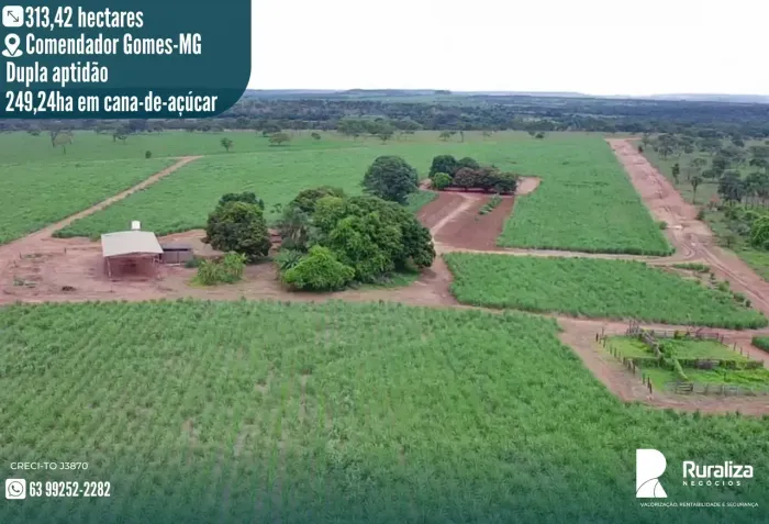 64,75 ALQUEIRÕES | 80% DE APROVEITAMENTO | EM CULTIVO DE CANA DE AÇÚCAR