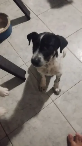 Doação
