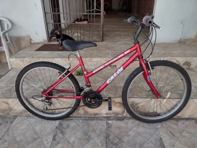 Bicicleta caloi Aspen aro 24