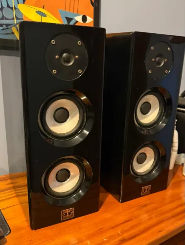 Caixas de Som (Passivas) Tropic Audio TA-35 Mini Torres - Em Bom Estado
