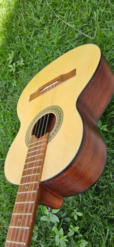 Viola Gianini Raiz