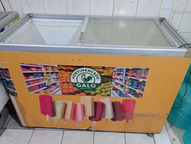 Freezer horizontal
