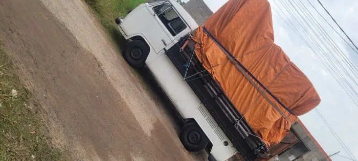 Carretos e mudanças 