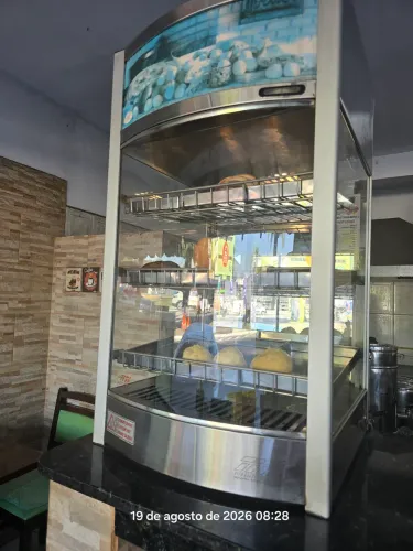 Estufa vapor titã 9 bandejas