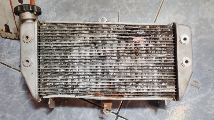 Radiador $20