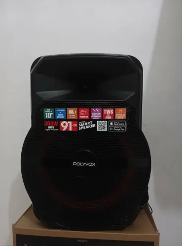 CAIXA AMPLIFICADA POLYVOX 