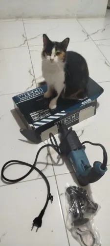 Furadeira de auto impacto