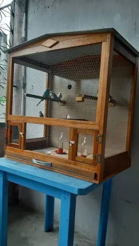 Fabricamos viveiros para todos os tipos de pets