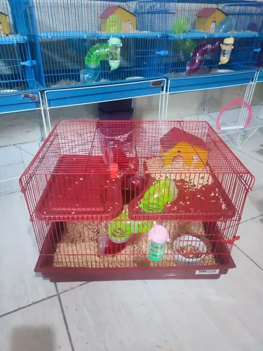 Gaiola para hamster completa semi nova