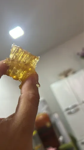 MEL ? PURO DIRETO DO FAVO ? para você que procura mel de qualidade ! 