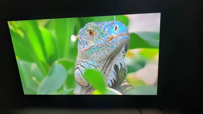 Oportunidade tv 50 Philips uhd 4k Novíssima 1699$
