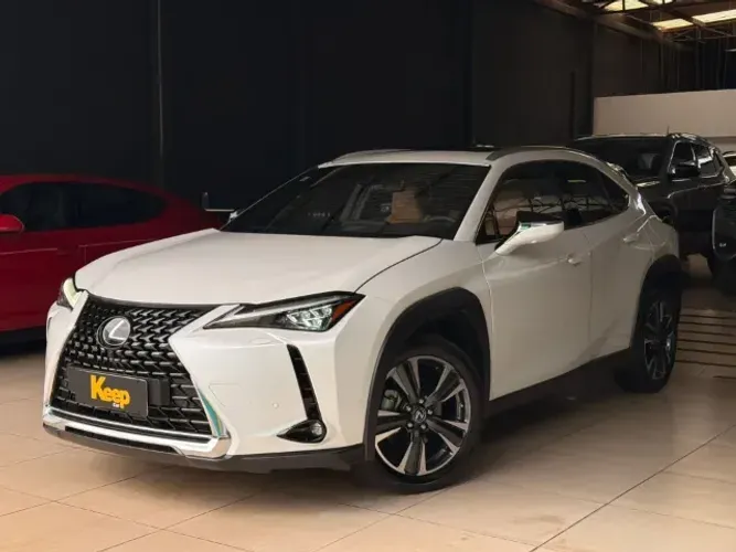 Lexus UX-250H Luxury 2.0 16V Aut.(hybrid) 2024
