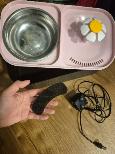 Bebedouro e comedouro de gato