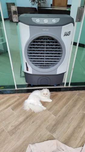 Climatizadores ventisol de 35 a 125 Lts