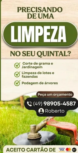 Limpeza de quintal 