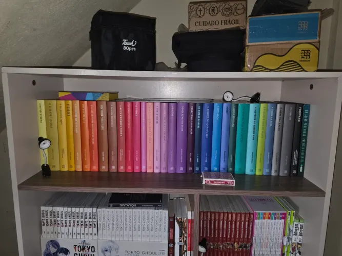 Coleção Clube Intrínsecos ? livros + itens especiais