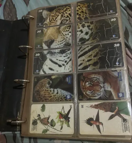Coleção antiguidade cartão telefônico 