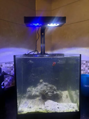 Aquário 40L Completo com Samp + Luminária Artika Ocean Tech
