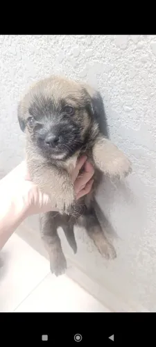 Doação 