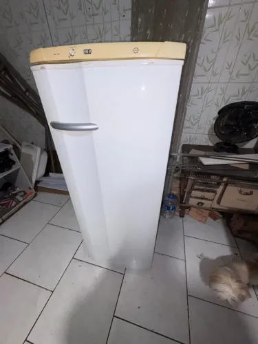 Geladeira Electrolux 240l
