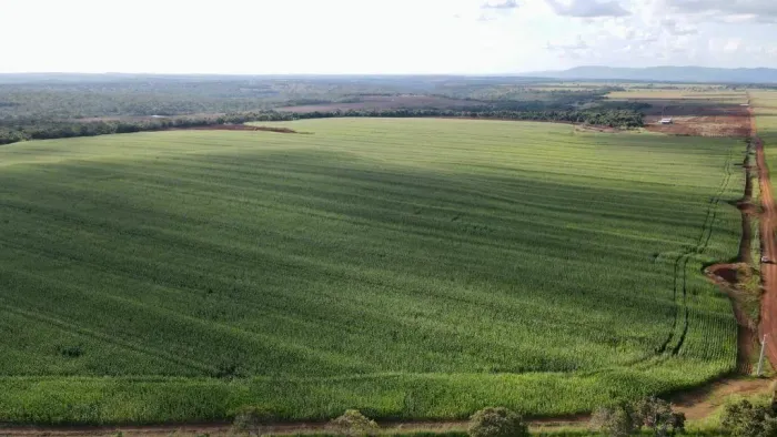 Fazenda à venda em Paraíso do Tocantins, Paraíso do Tocantins, com 1 quarto, com 7080000 m