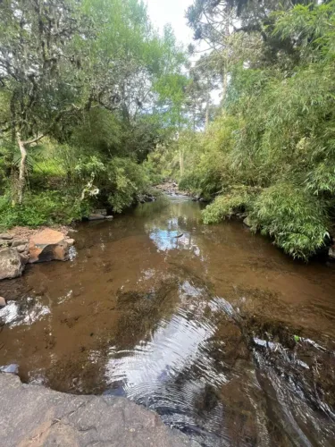 Sítio 30.000m² em Urubici - Plano, com Rio e na Rota da Neve SC