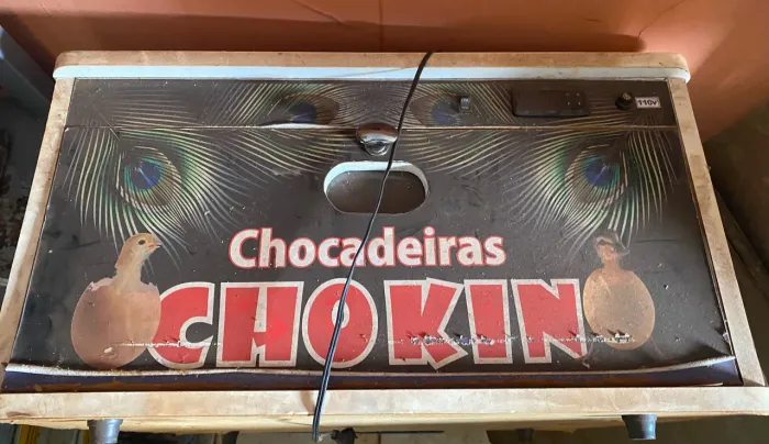 Chocadeira chokin