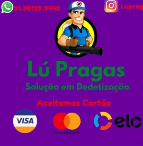 Dedetização profissional Aparti de 50 Reais 