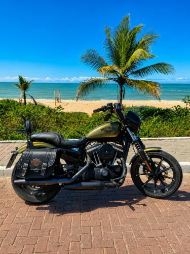 Harley-Davidson Iron 883 2016 | 35.000 km | Personalizada | Muitos Acessórios