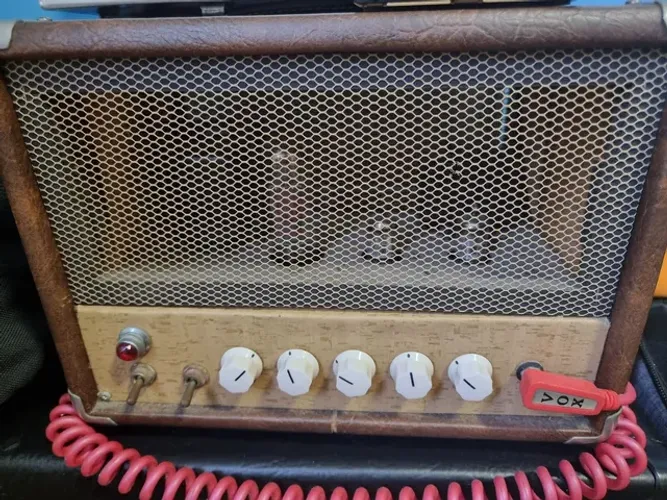 Gato Preto Vira Lata