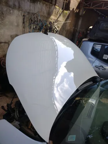 Sucata C4 cactus 