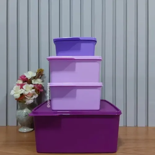 Conjunto Tupperware Basic Line